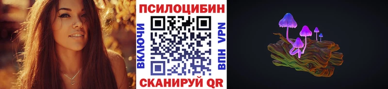 Псилоцибиновые грибы Psilocybe  Сенгилей 